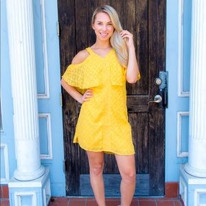 NWT- Skies are Blue Sunny dress in S and L